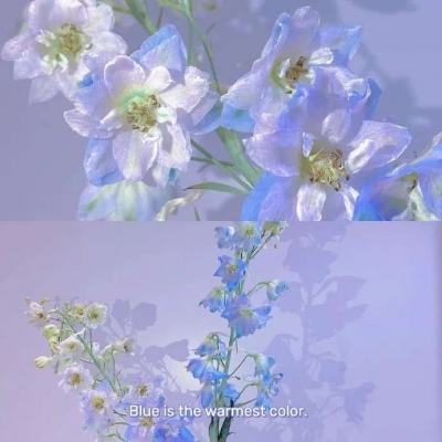 大发彩票官方官方平台app下载手机版