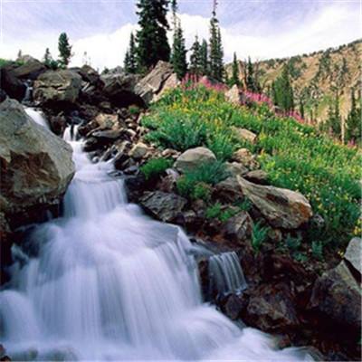 完美娱乐官网下载